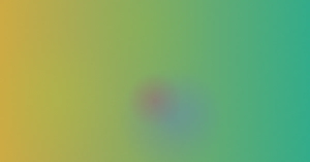 幼儿园对比：三家探园复盘
